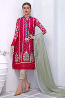 Picture of Grapevine