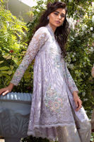 Picture of Opaque dreams