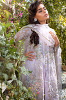 Picture of Opaque dreams