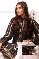 Picture of Rainforest night