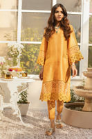 Picture of Sunflower