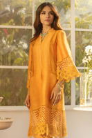 Picture of Sunflower