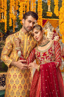 Picture of Midhat Peshwas