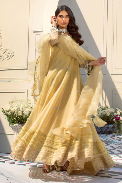 Picture of Anaya Kalidar