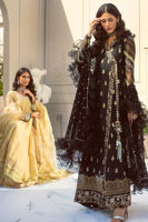 Picture of Anaya Kalidar