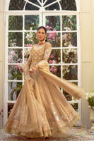 Picture of Prisha Kalidar