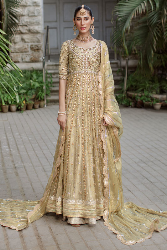 Picture of Zonya Kalidar