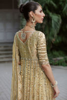 Picture of Zonya Kalidar