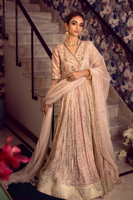 Picture of Tayba Pishwas