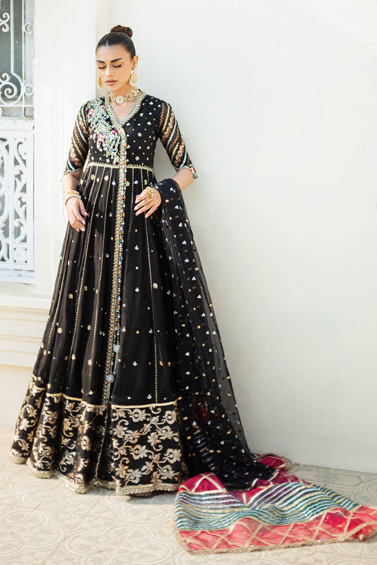 Picture of Semaab Kalidar