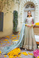 Picture of Urmiya Kalidar