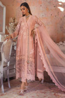 Picture of Nera blush