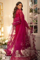 Picture of Calla - Cranberry