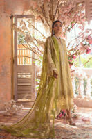 Picture of Ismaya Seagrass