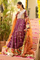 Picture of Konain Kalidar