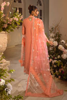 Picture of Zemira apricot - shirt and pants