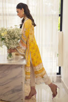 Picture of Esmeya - Shirt and Dupatta