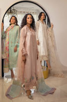 Picture of Mirsa Ivory - Shirt and Dupatta