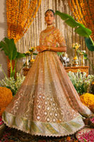 Picture of Rozmina Kalidar