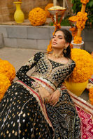 Picture of Mehmil Kalidar