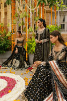 Picture of Mehmil Kalidar