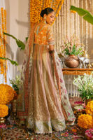 Picture of Rozmina Kalidar