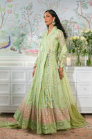 Picture of Nadi Mint - Angharka and Dupatta