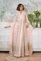 Picture of Nadi Blush - Angharka and Dupatta