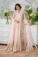 Picture of Nadi Blush - Angharka and Dupatta