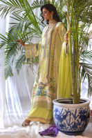 Picture of Reba (Shirt and Dupatta)